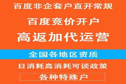 某品牌通过百度广告实现快速增长的案例